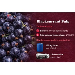 Pulpa czarna porzeczka