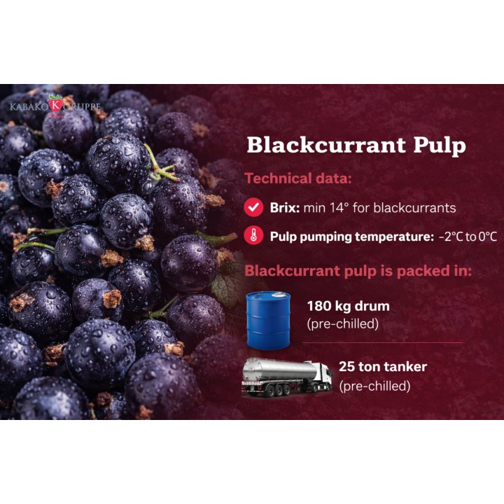 Pulpa czarna porzeczka