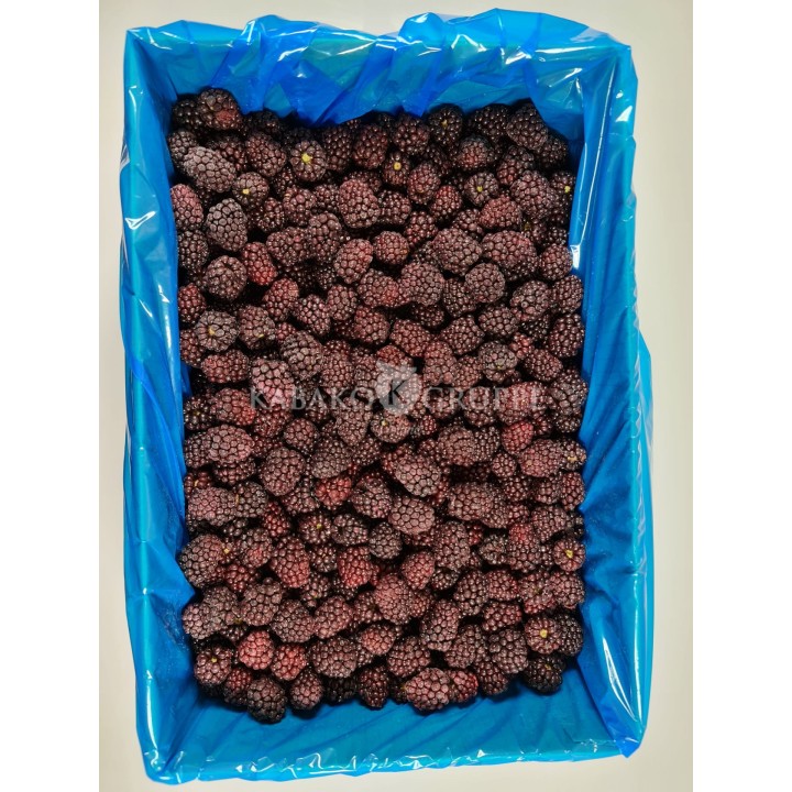 Jeżyna mrożona 2,5 kg, 10 kg i 25 kg