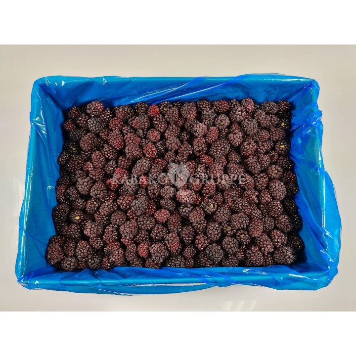 Jeżyna mrożona 2,5 kg, 10 kg i 25 kg