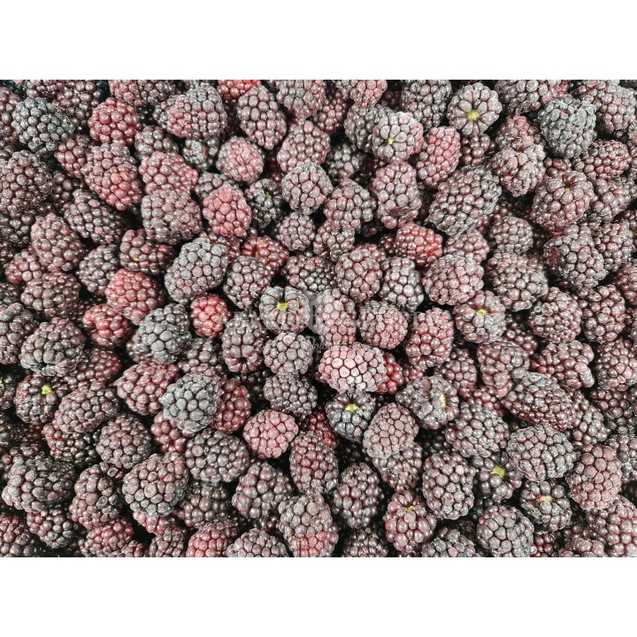 Jeżyna mrożona 2,5 kg, 10 kg i 25 kg