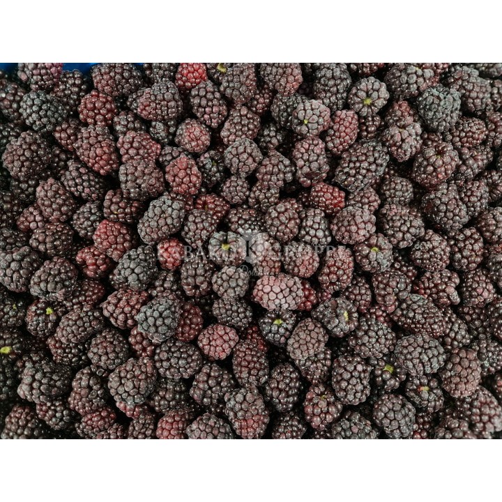 Jeżyna mrożona 2,5 kg, 10 kg i 25 kg