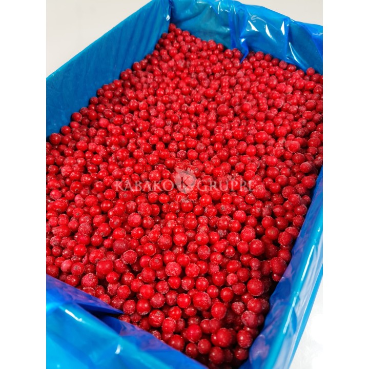 Porzeczka czerwona mrożona 2,5 kg, 10 kg i 25 kg
