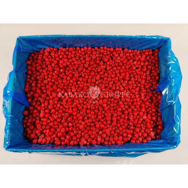 Porzeczka czerwona mrożona 2,5 kg, 10 kg i 25 kg