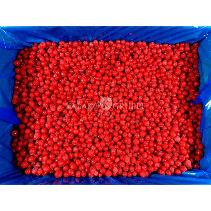 Porzeczka czerwona mrożona 2,5 kg, 10 kg i 25 kg