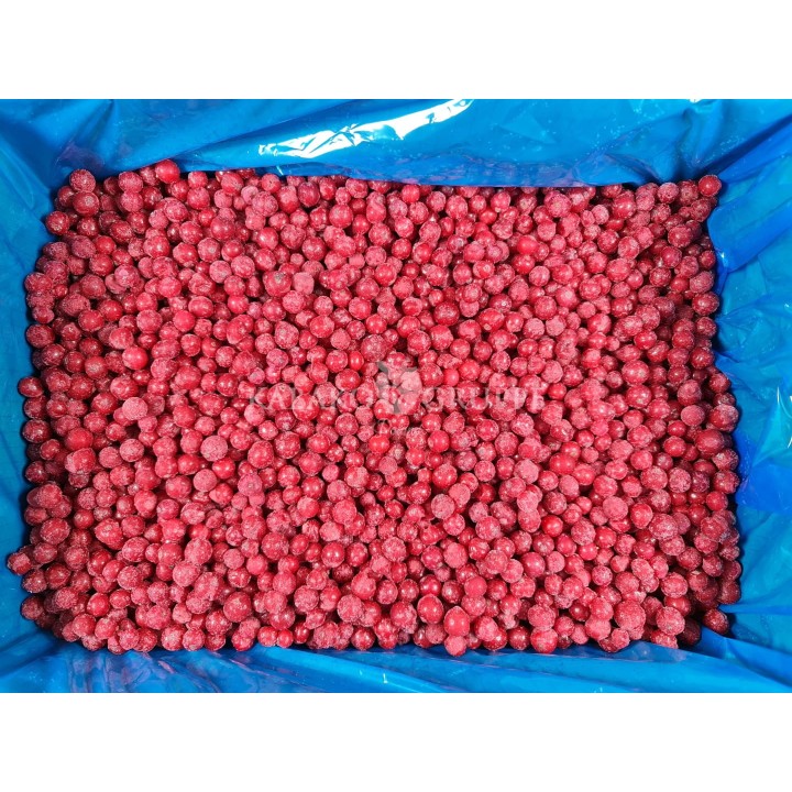 Porzeczka czerwona mrożona 2,5 kg, 10 kg i 25 kg