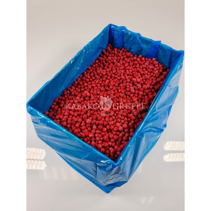 Porzeczka czerwona mrożona 2,5 kg, 10 kg i 25 kg