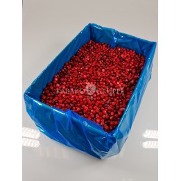 Żurawina mrożona 2,5 kg, 10 kg i 25 kg