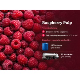 Raspberry pulp B2B | Kabako Gruppe