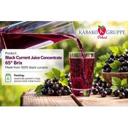 Concentrato di succo di ribes nero 65° Brix – Kabako Gruppe Poland