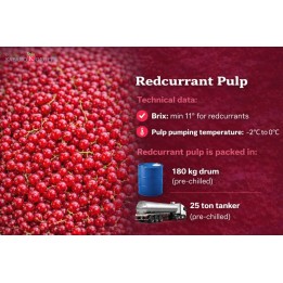 Pulpa z czerwonej porzeczki