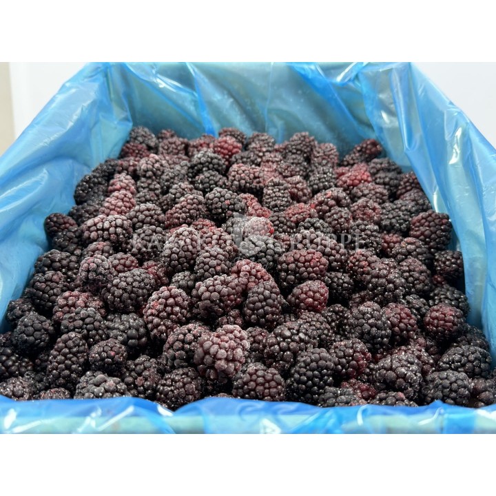 Jeżyna mrożona 2,5 kg, 10 kg i 25 kg