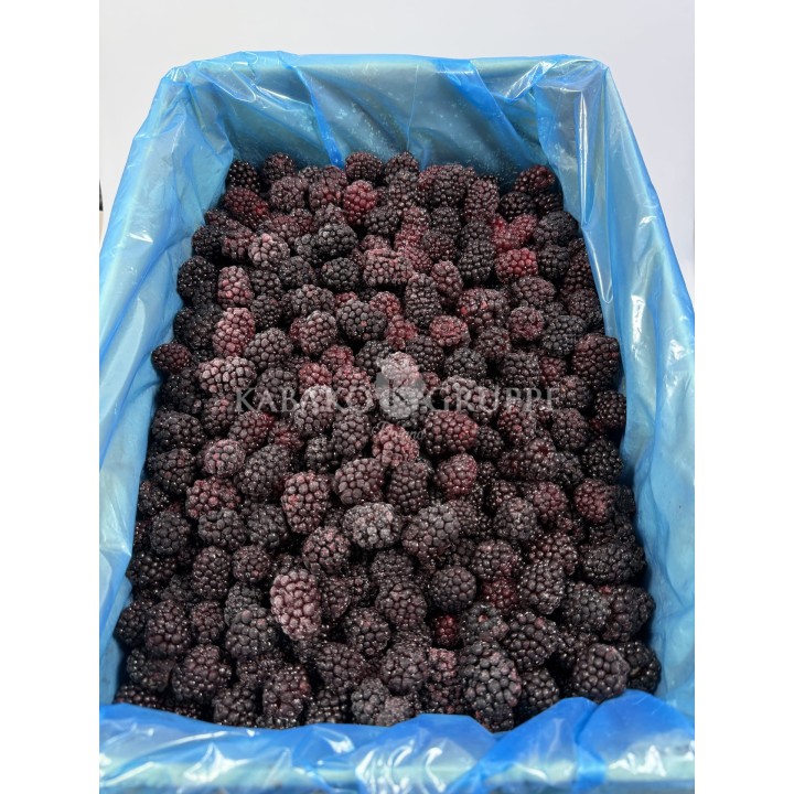 Jeżyna mrożona 2,5 kg, 10 kg i 25 kg