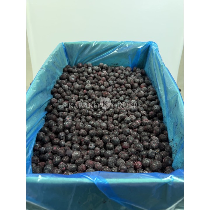 Borówka mrożona 2,5 kg, 10 kg i 25 kg