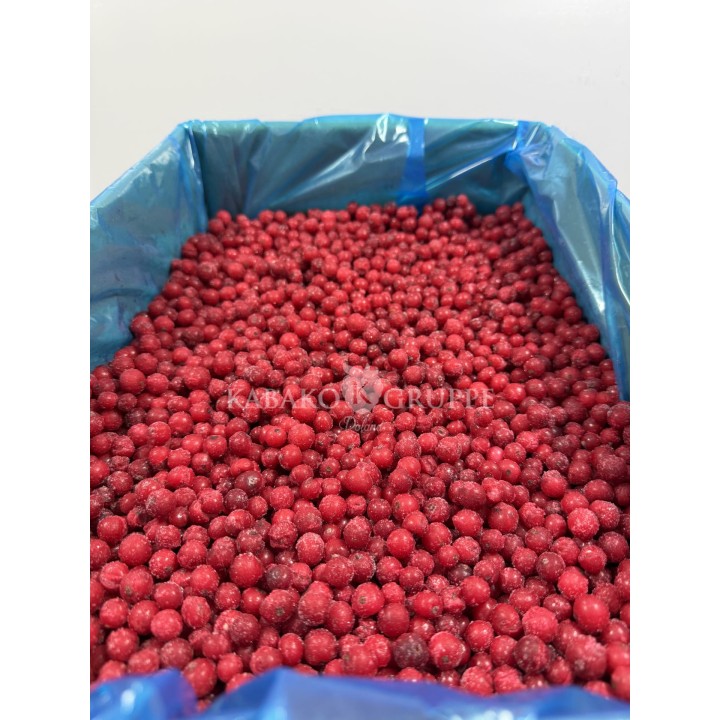 Porzeczka czerwona mrożona 2,5 kg, 10 kg i 25 kg