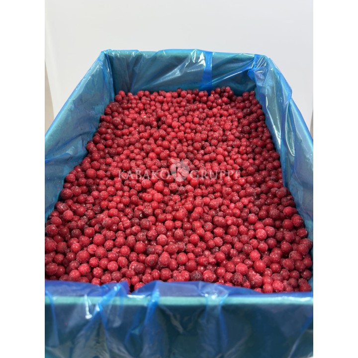 Porzeczka czerwona mrożona 2,5 kg, 10 kg i 25 kg