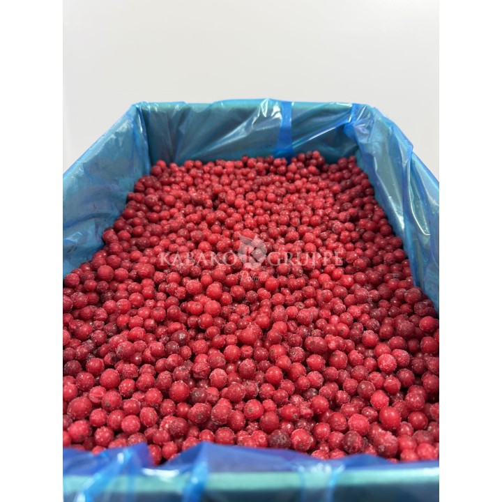 Porzeczka czerwona mrożona 2,5 kg, 10 kg i 25 kg