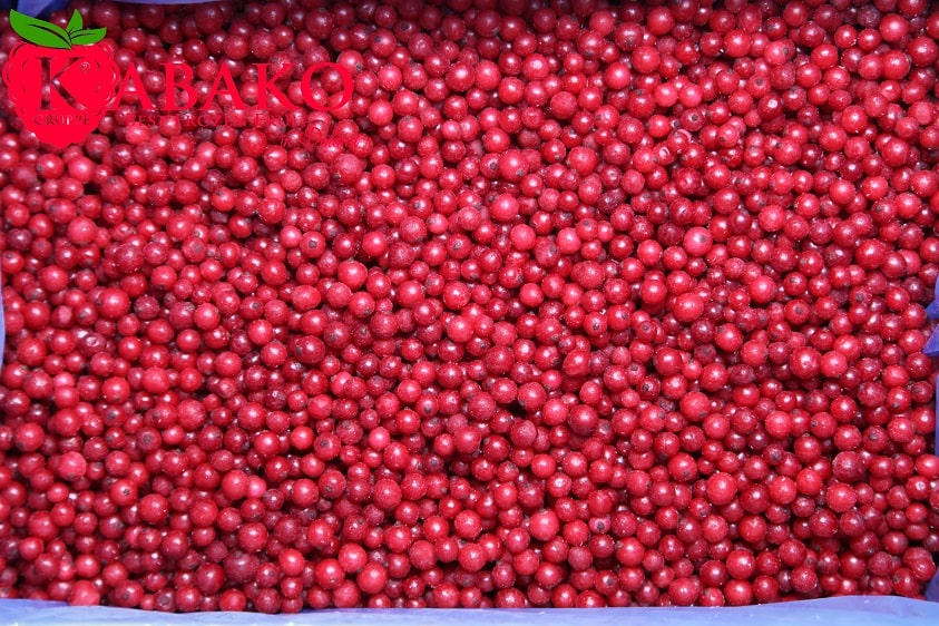 Frozen (IQF) Red Currants 2