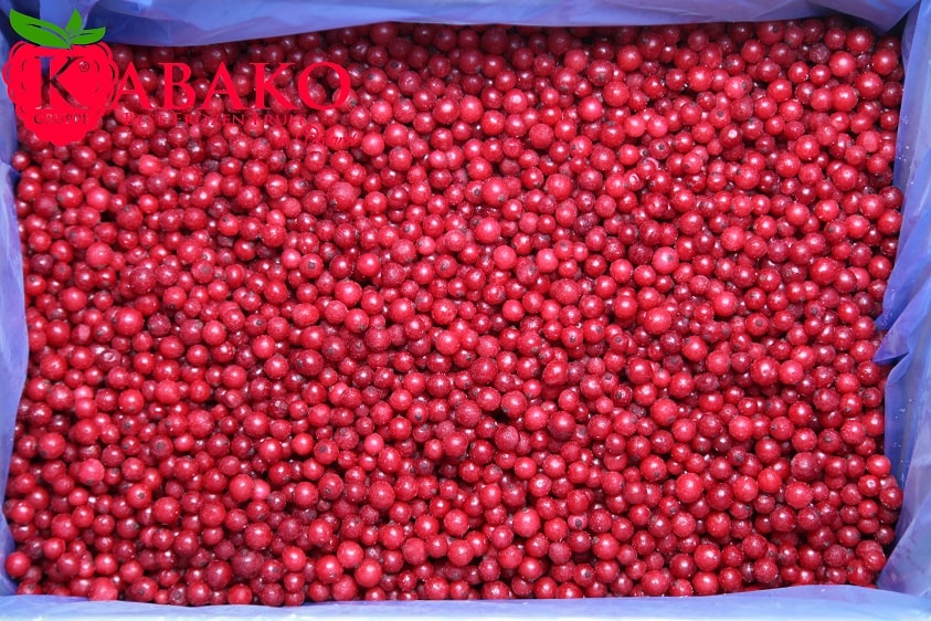Frozen (IQF) Red Currants 4