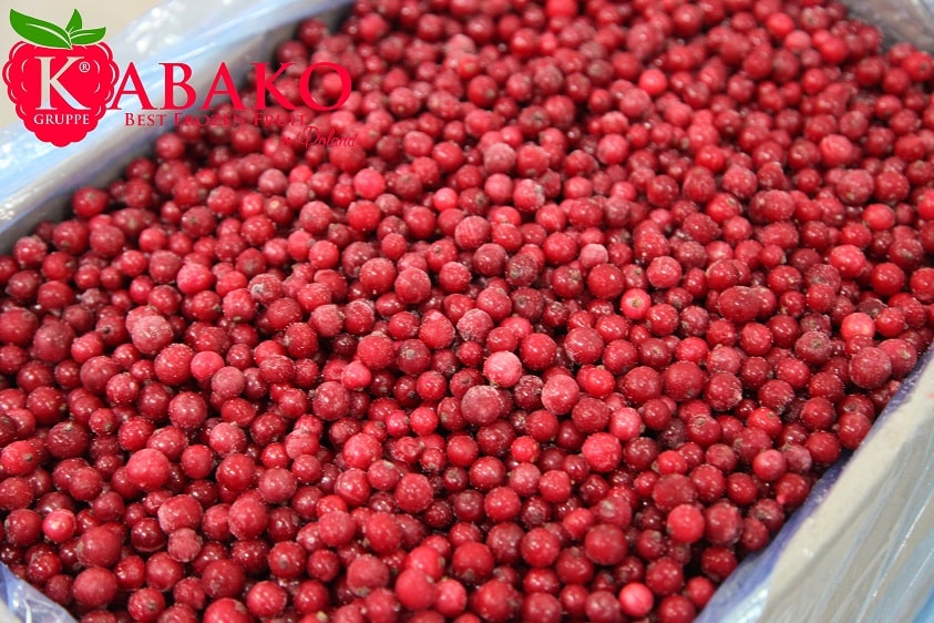Frozen (IQF) Red Currants 9