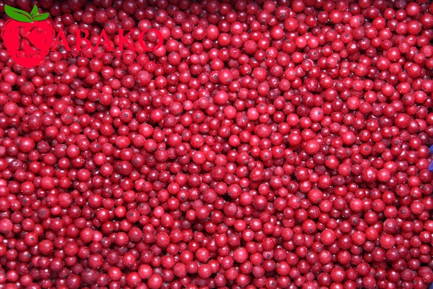 Frozen (IQF) Red Currants 3