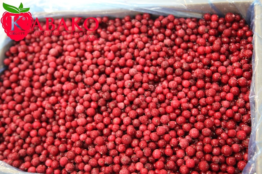Frozen (IQF) Red Currants 11